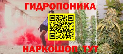 спиды Гусь-Хрустальный